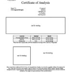 vanguard-placeholder